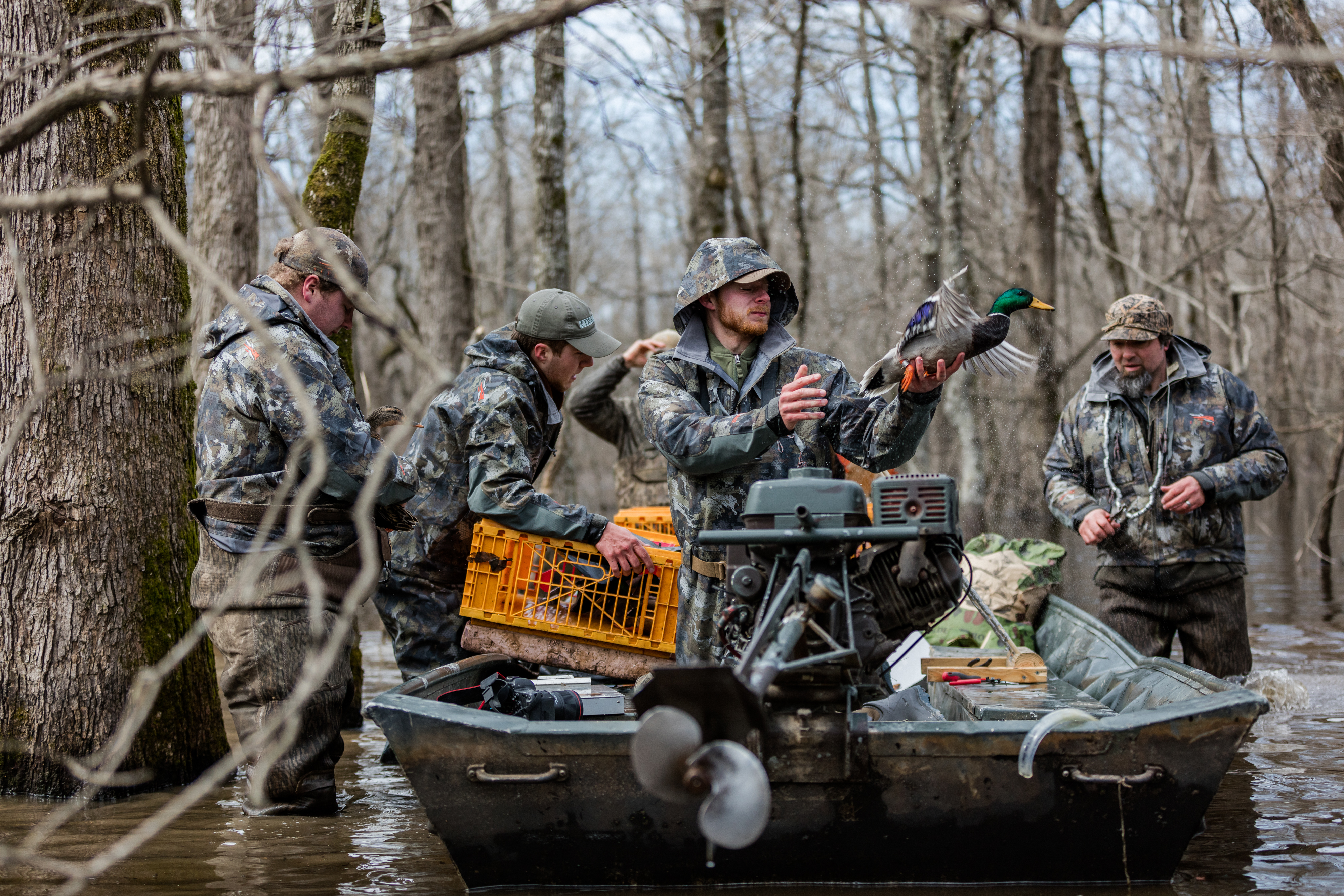 Duck Banding