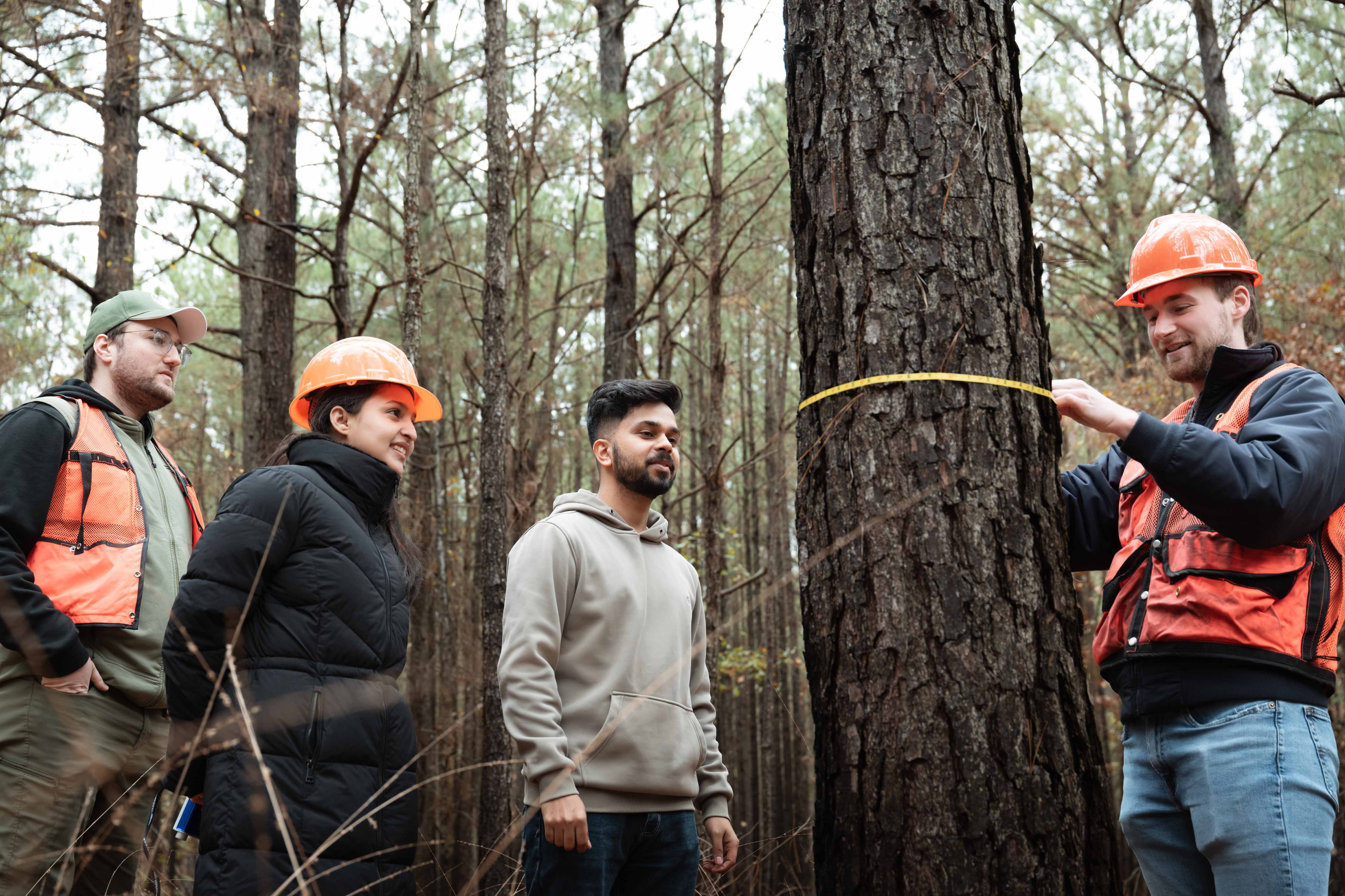 UAM Forest Resources Ph.D.